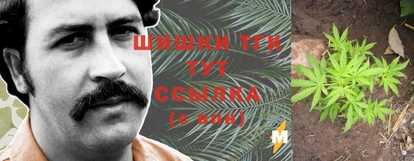 тгк Коряжма