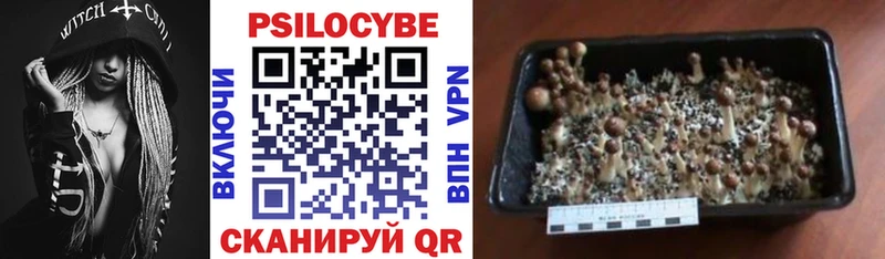 Галлюциногенные грибы Cubensis  цены   Тетюши 